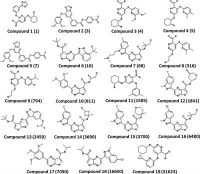 3D-QSAR-Based Pharmacophore Modeling, Virtual Screening, and Molecular Dynamics Simulations for the Identification of Spleen Tyrosine Kinase Inhibitors